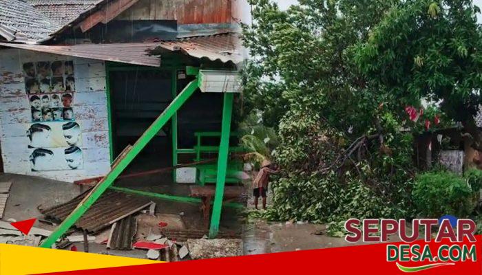 Puting Beliung Hantam Plandaan Jombang, Tiga Kandang Sapi Ambruk, Rumah Warga Rusak Parah